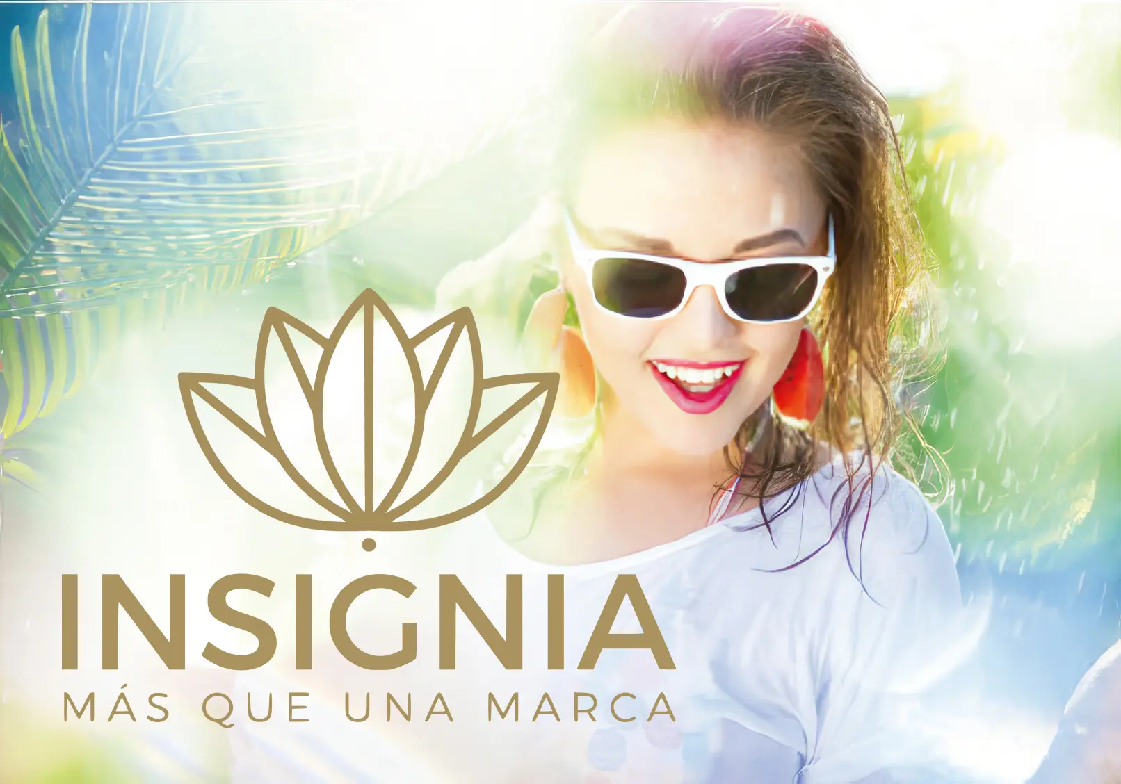 Descubre una amplia selección Promocionales de alta calidad 